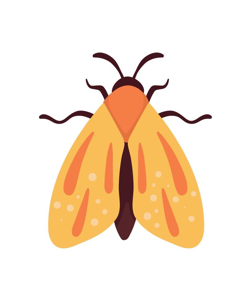 animal inseto mariposa amarela vetor