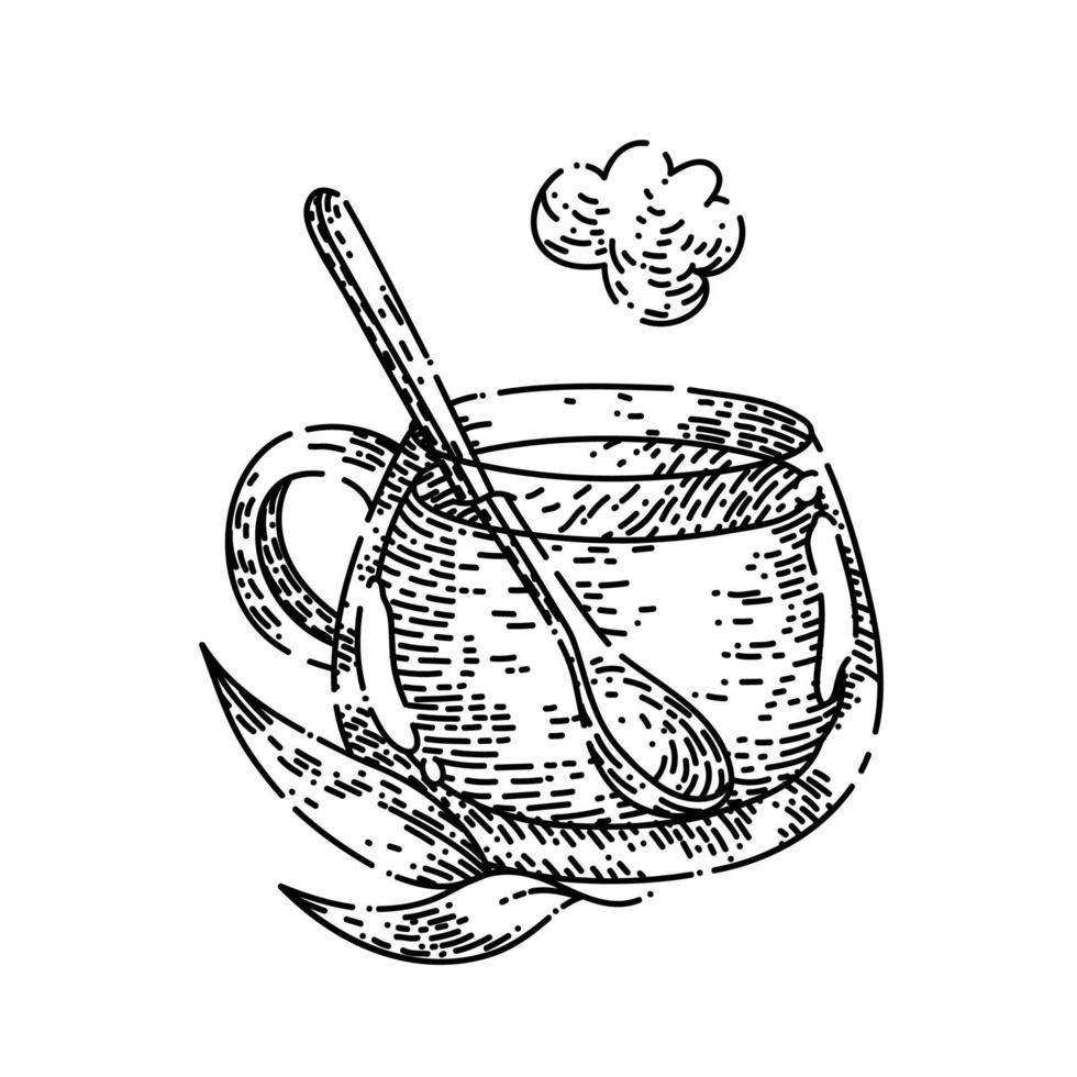 vetor desenhado à mão de esboço de chá verde