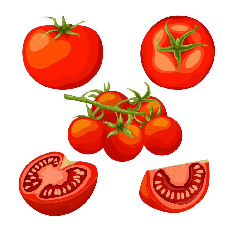 ilustração em vetor de desenho animado conjunto vermelho de tomate