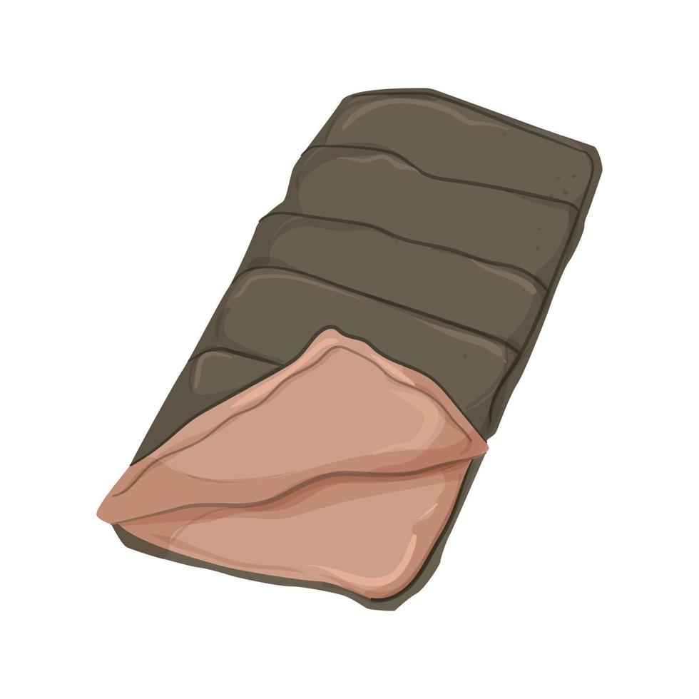 ilustração vetorial de ícone de cor de dormir de saco de acampamento vetor