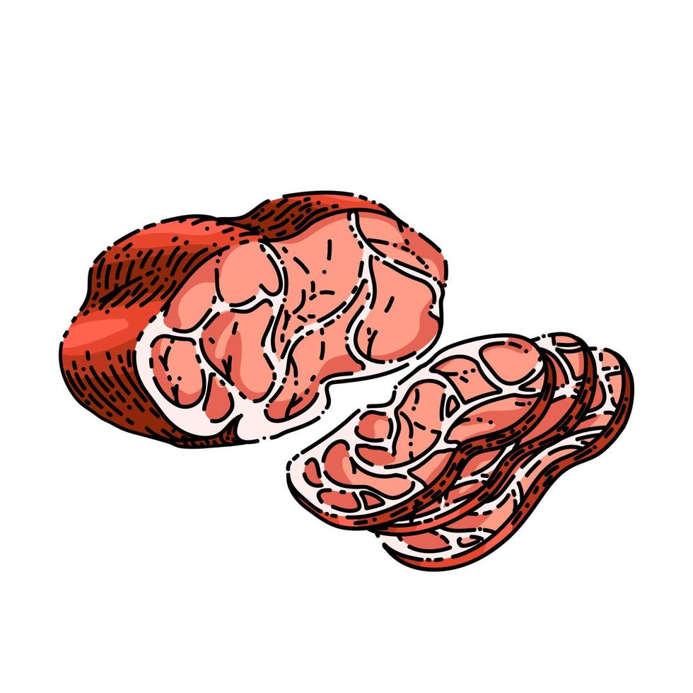 vetor desenhado à mão de esboço de carne de carne