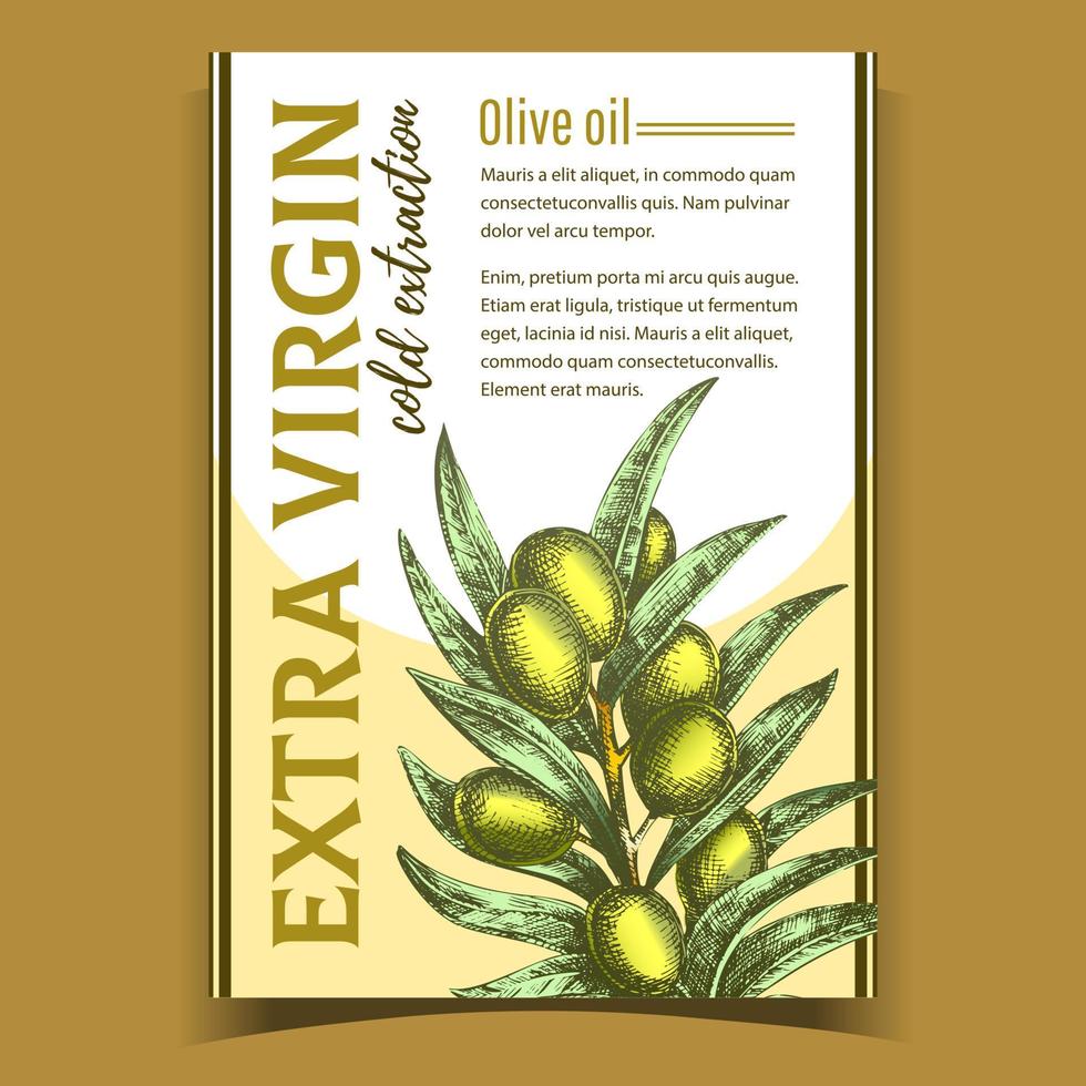 vetor de banner de ramo de oliveira fresca natural