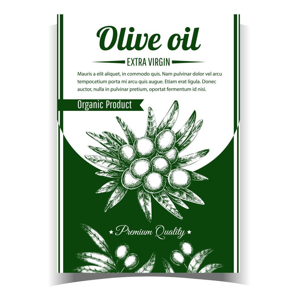 vetor de cartaz de produto orgânico virgem extra verde-oliva