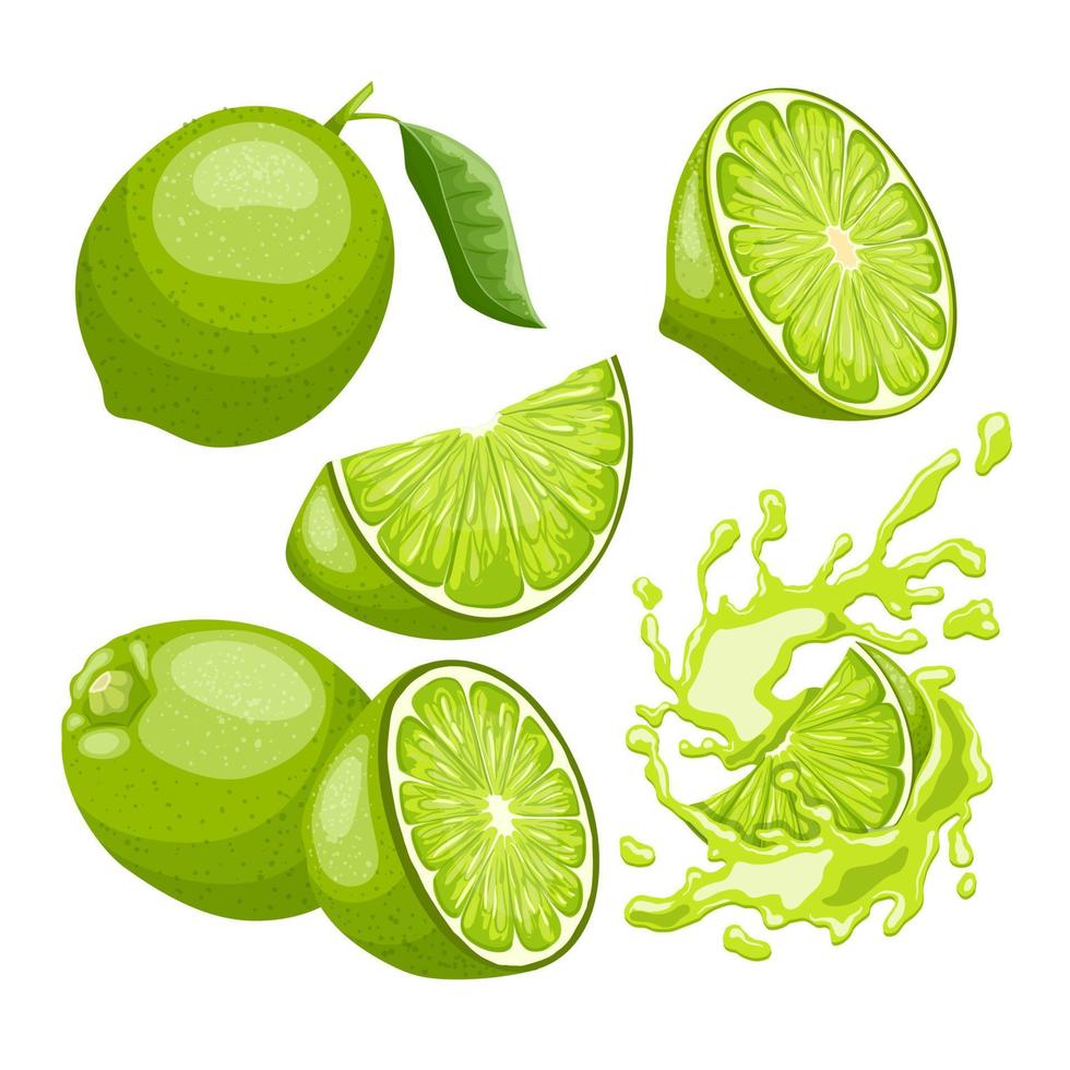 conjunto de frutas verde limão cartoon ilustração vetorial vetor