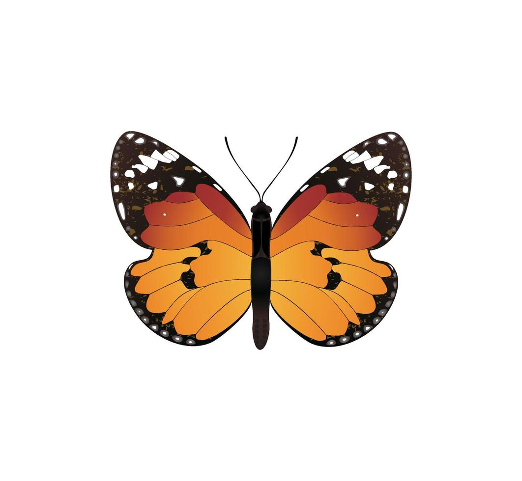 borboletas para o projeto. uma ilustração vetorial vetor