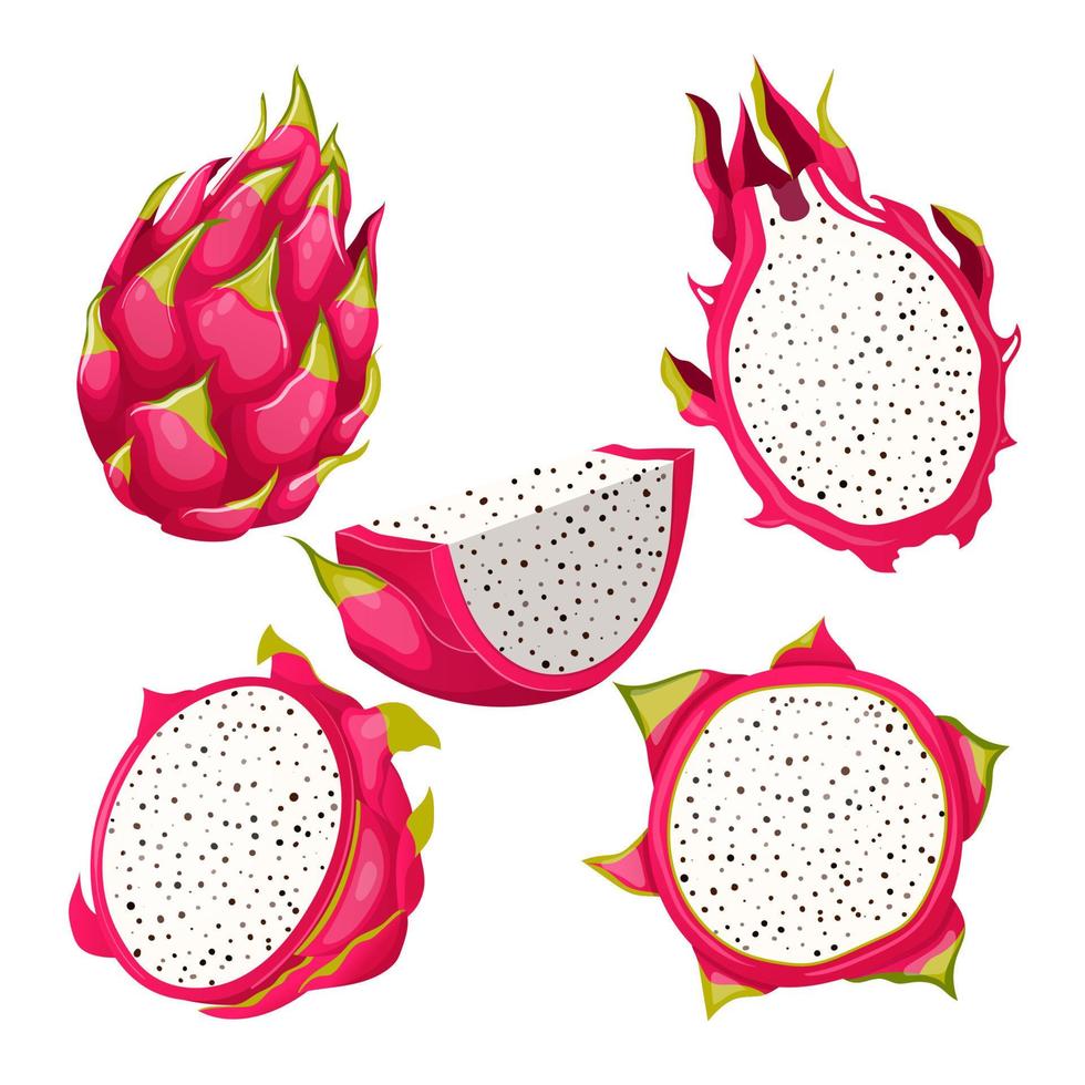 ilustração em vetor desenho animado conjunto de fruta pitaya dragão