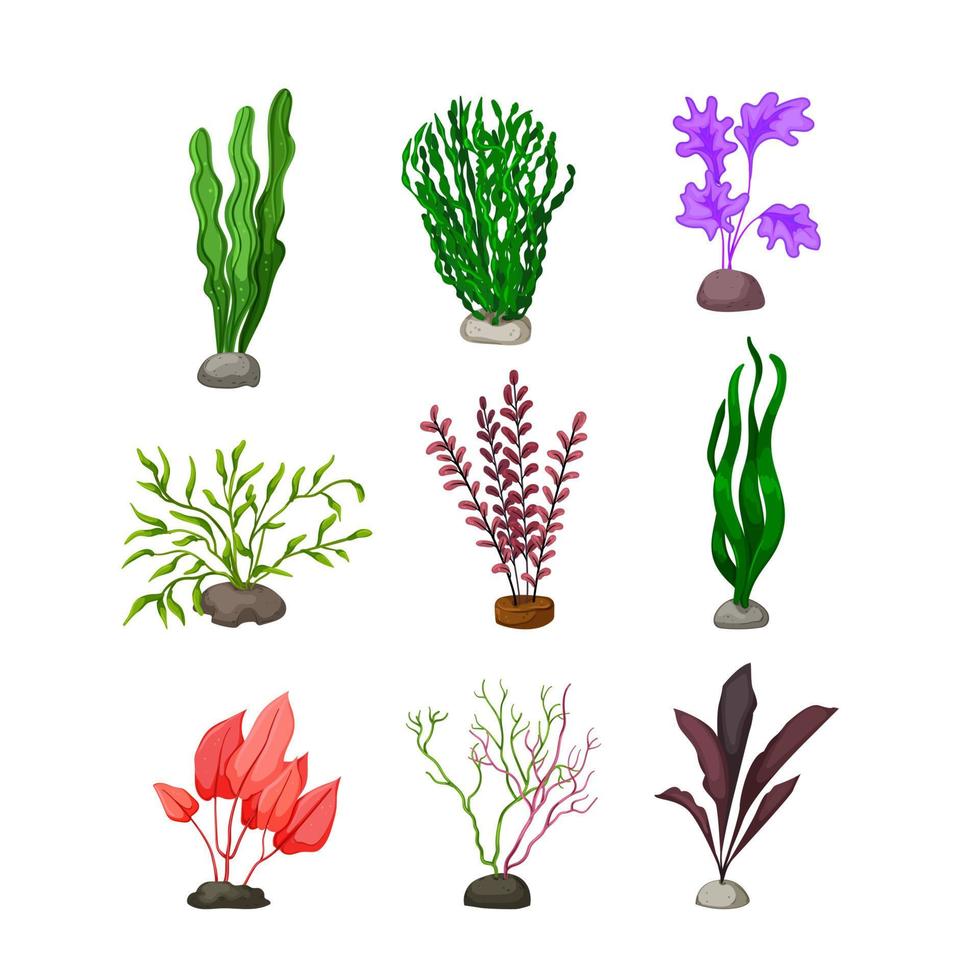 conjunto de plantas de aquário ilustração vetorial de desenhos animados vetor