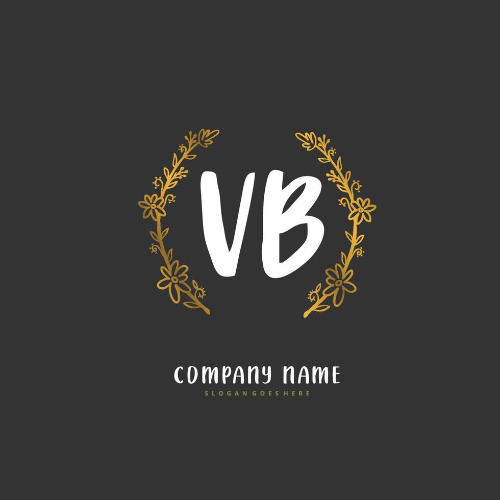 vb caligrafia inicial e design de logotipo de assinatura com círculo. logotipo manuscrito de design bonito para moda, equipe, casamento, logotipo de luxo. vetor