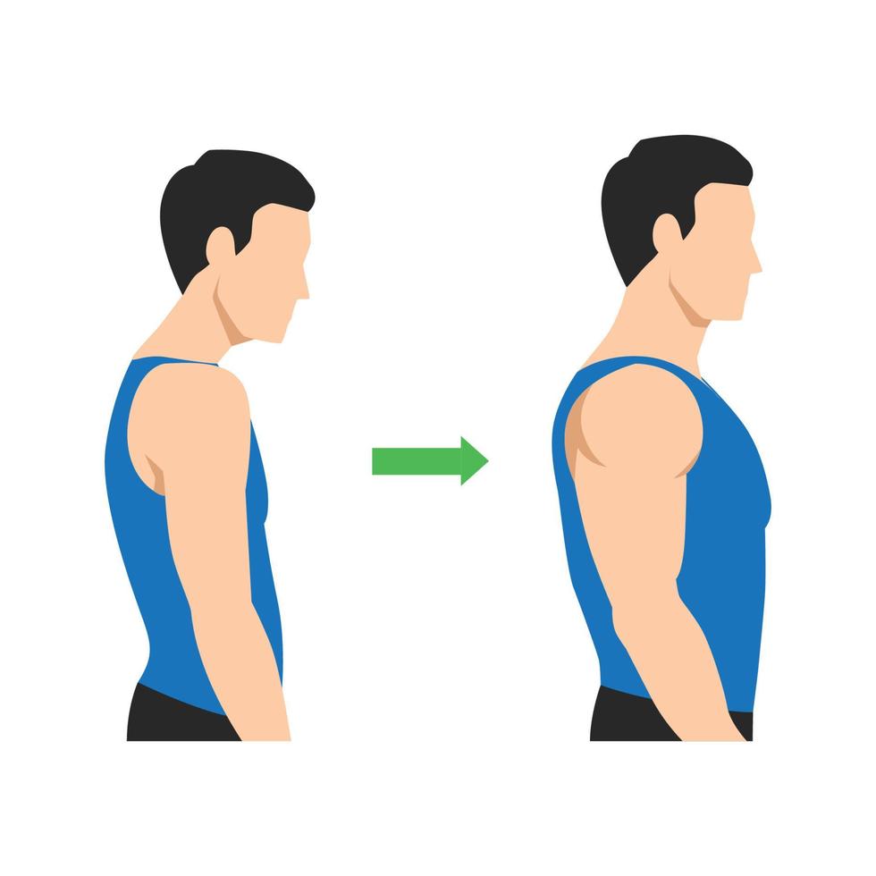 homem musculoso e magro, conceito de perda de peso. homem antes e depois do treino com melhor postura nas costas. ilustração vetorial plana isolada no fundo branco vetor