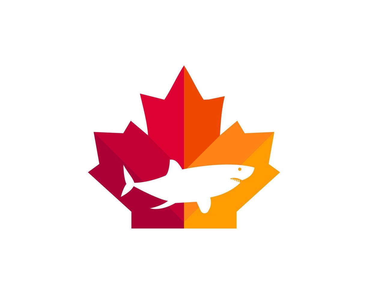 design de logotipo de tubarão de bordo. logotipo do tubarão canadense. folha de bordo vermelha com vetor de tubarão