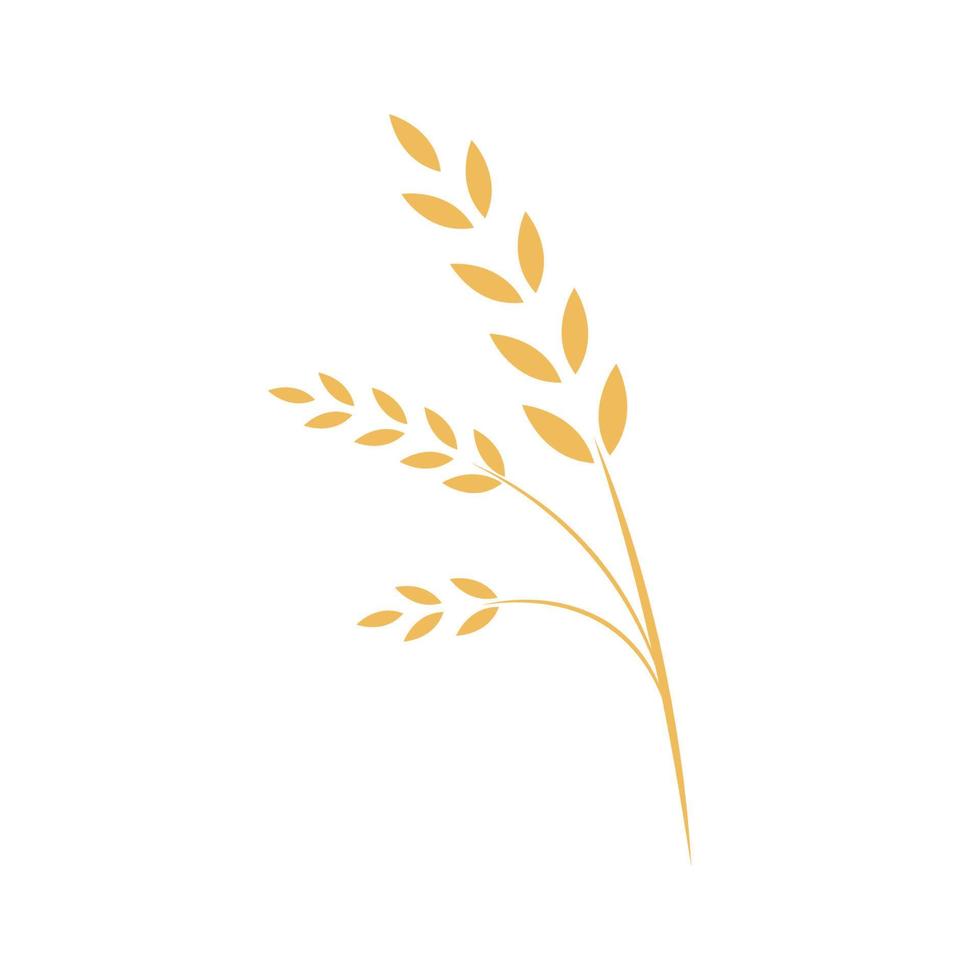símbolo de arroz. vetor de símbolo de trigo. papel de parede. design de logotipo.