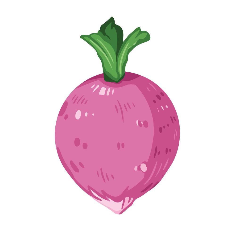 ilustração em vetor vegetal rabanete coreano pequena redonda rosa isolada no fundo branco liso. desenho de comida natural com estilo de arte colorida plana simples de desenho animado.