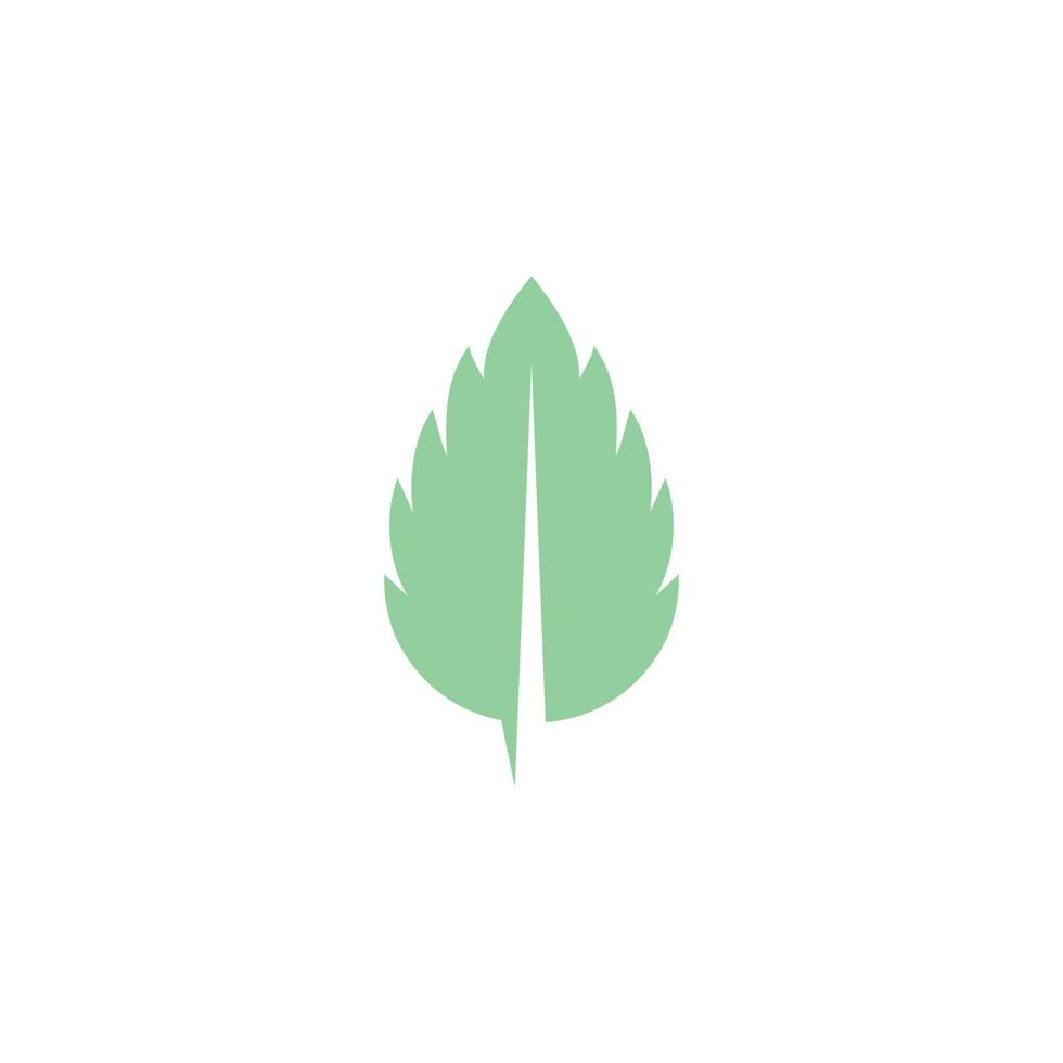 ícone de vetor plana de folhas de hortelã