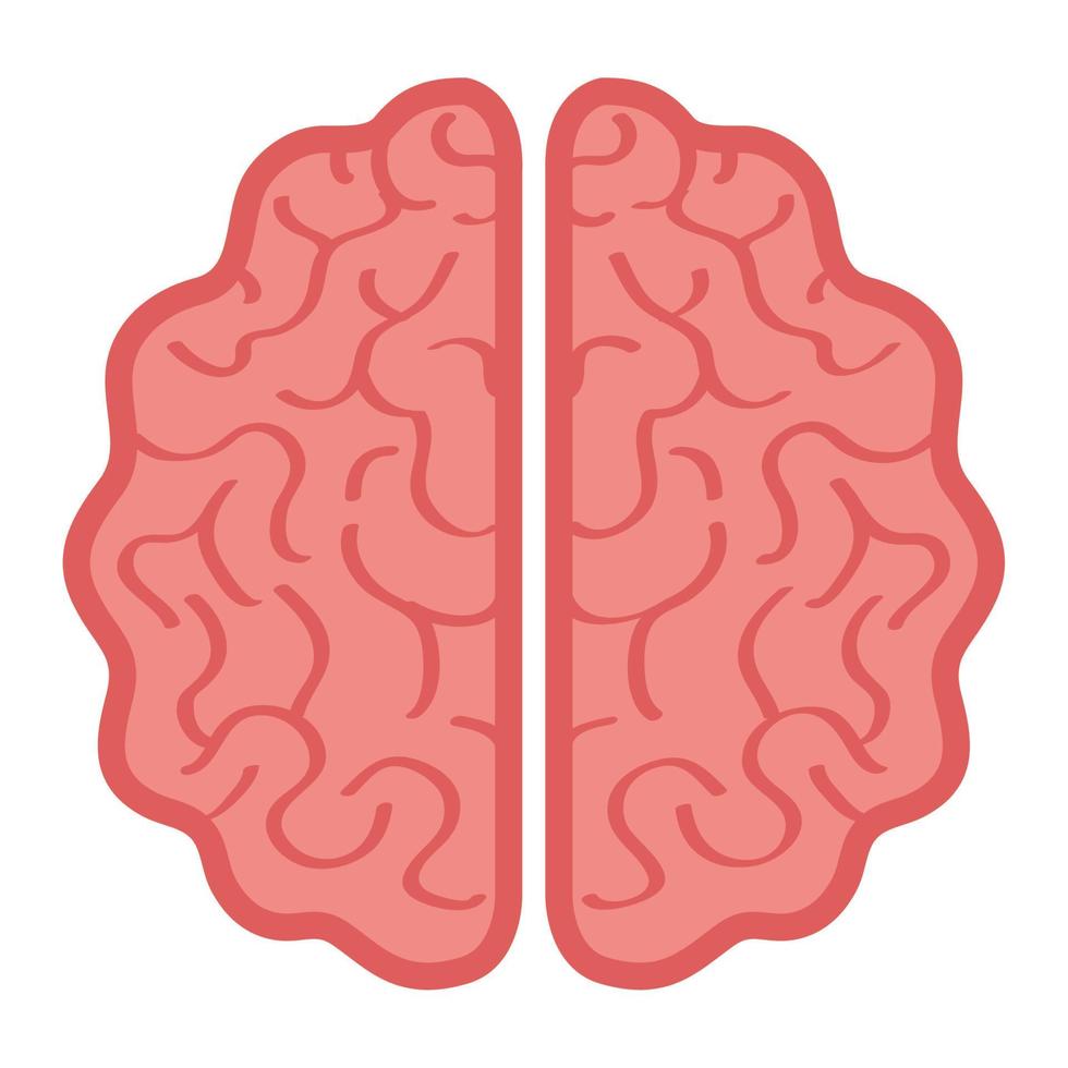 neurologia, cérebro humano em fundo branco vetor