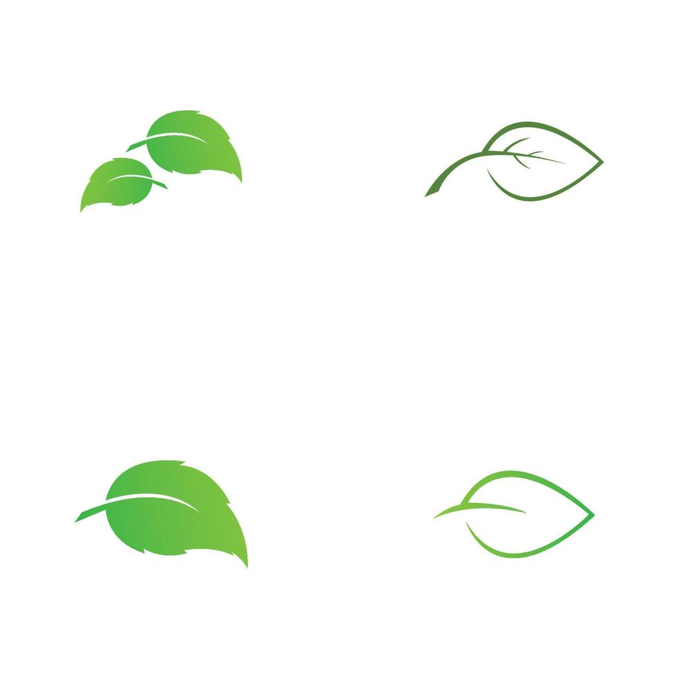 design de logotipo de vetor de folha de árvore, conceito ecológico
