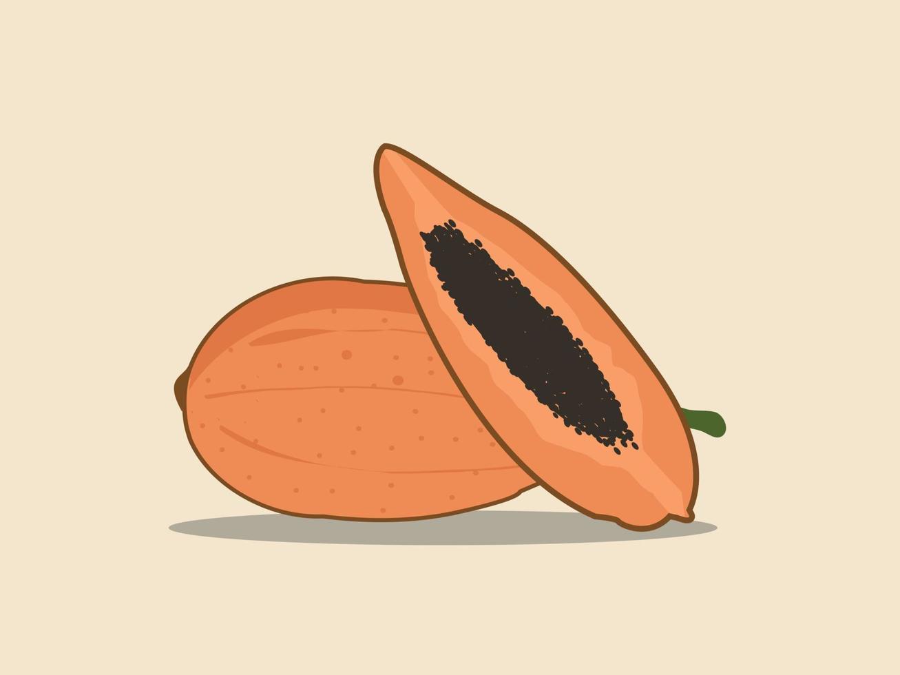 ilustração de mamão doce de frutas tropicais de verão vetor