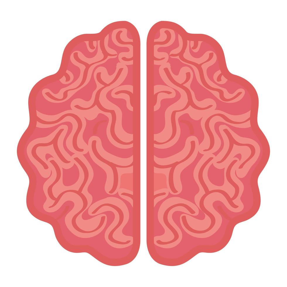 neurologia, cérebro humano em fundo branco vetor