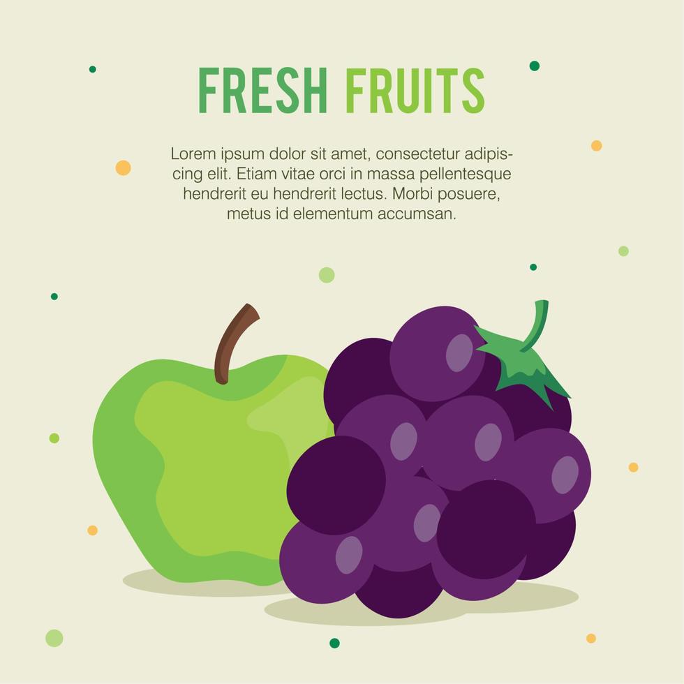 banner frutas frescas, uvas e maçã verde vetor