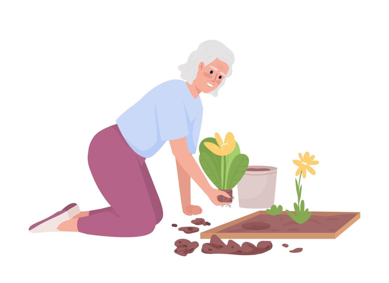 mulher idosa plantando canteiros de flores em personagem de vetor de cor semiplana de jardim. figura editável. pessoa de corpo inteiro em branco. ilustração simples de estilo cartoon para web design gráfico e animação