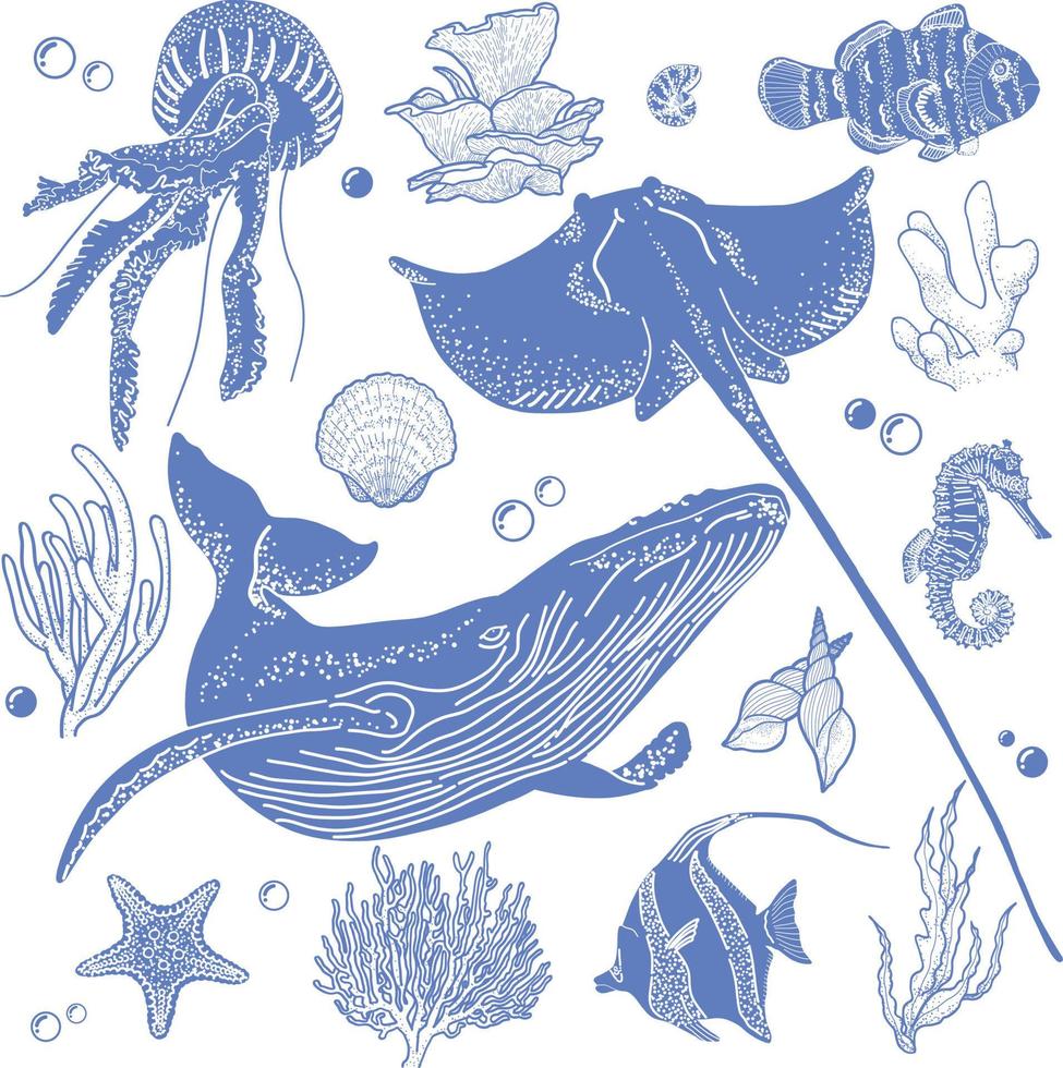 conjunto de vetores de elementos do mundo subaquático de ilustração