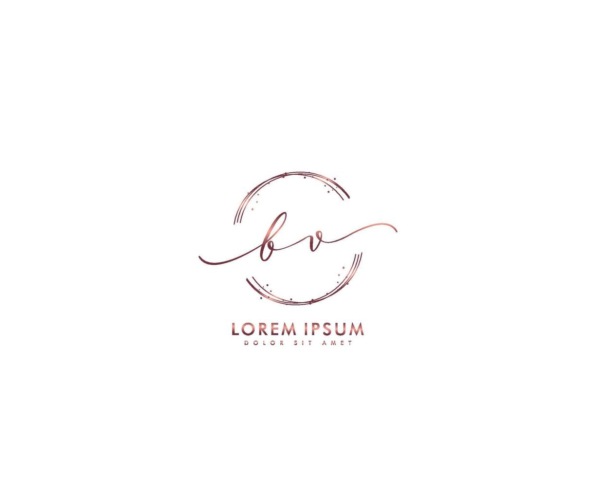 logotipo feminino inicial bv monograma de beleza e design de logotipo elegante, logotipo manuscrito da assinatura inicial, casamento, moda, floral e botânico com modelo criativo vetor