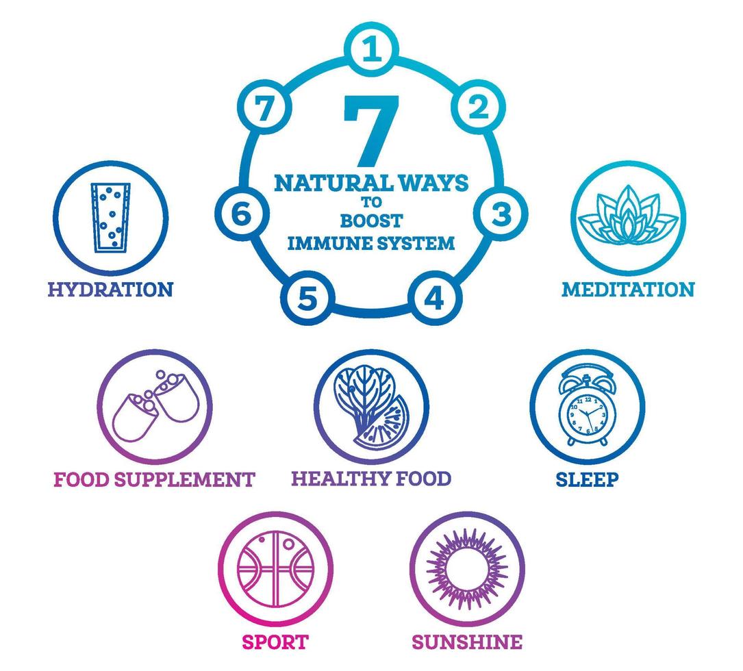 como fortalecer seu sistema imunológico. elementos infográficos isolados no branco. vetor