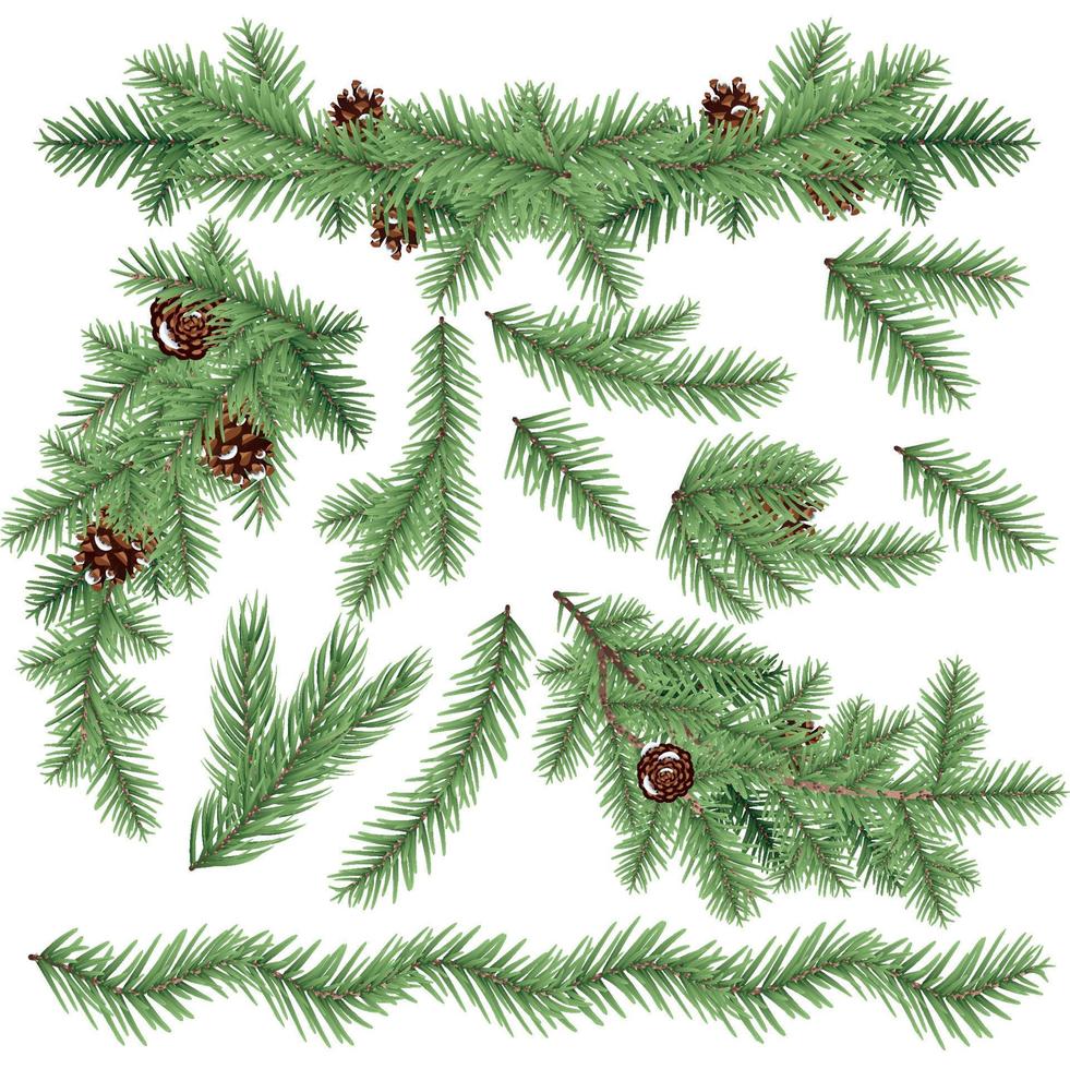 conjunto de ramos de abeto realistas isolados no branco. árvore de Natal. vetor