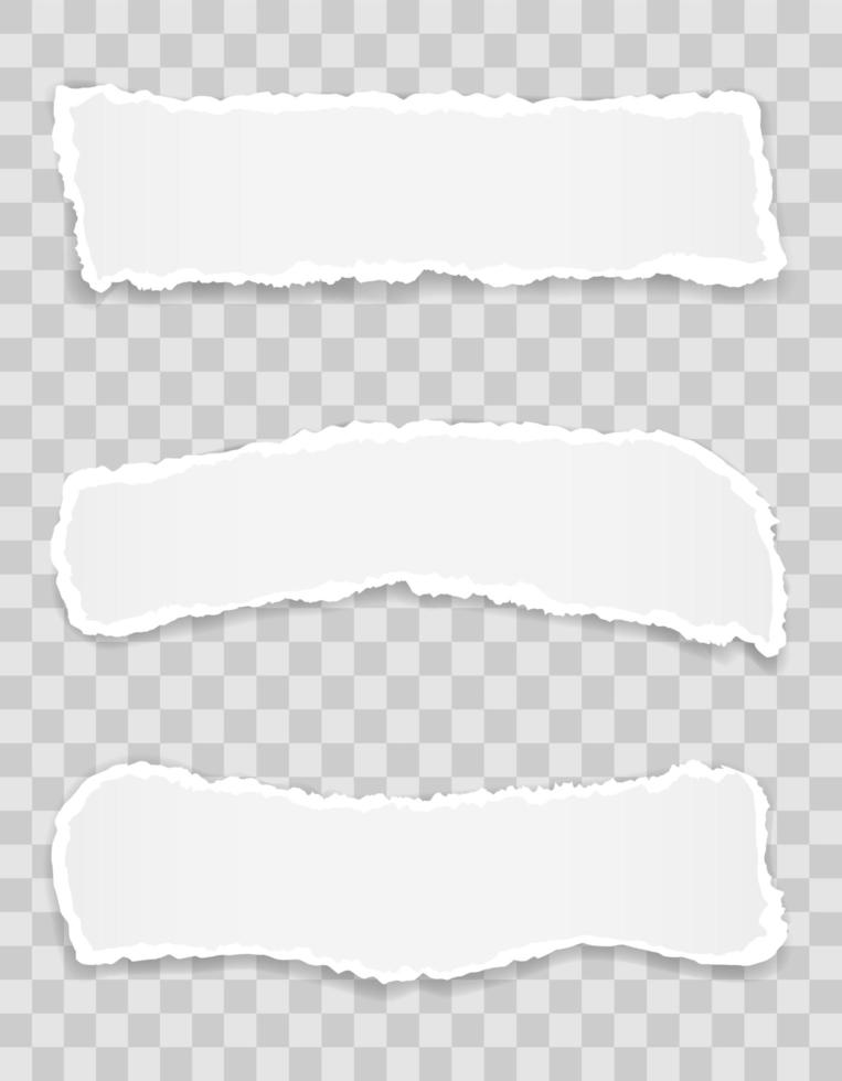 borda de papel rasgada para design com conjunto de espaço transparente vetor