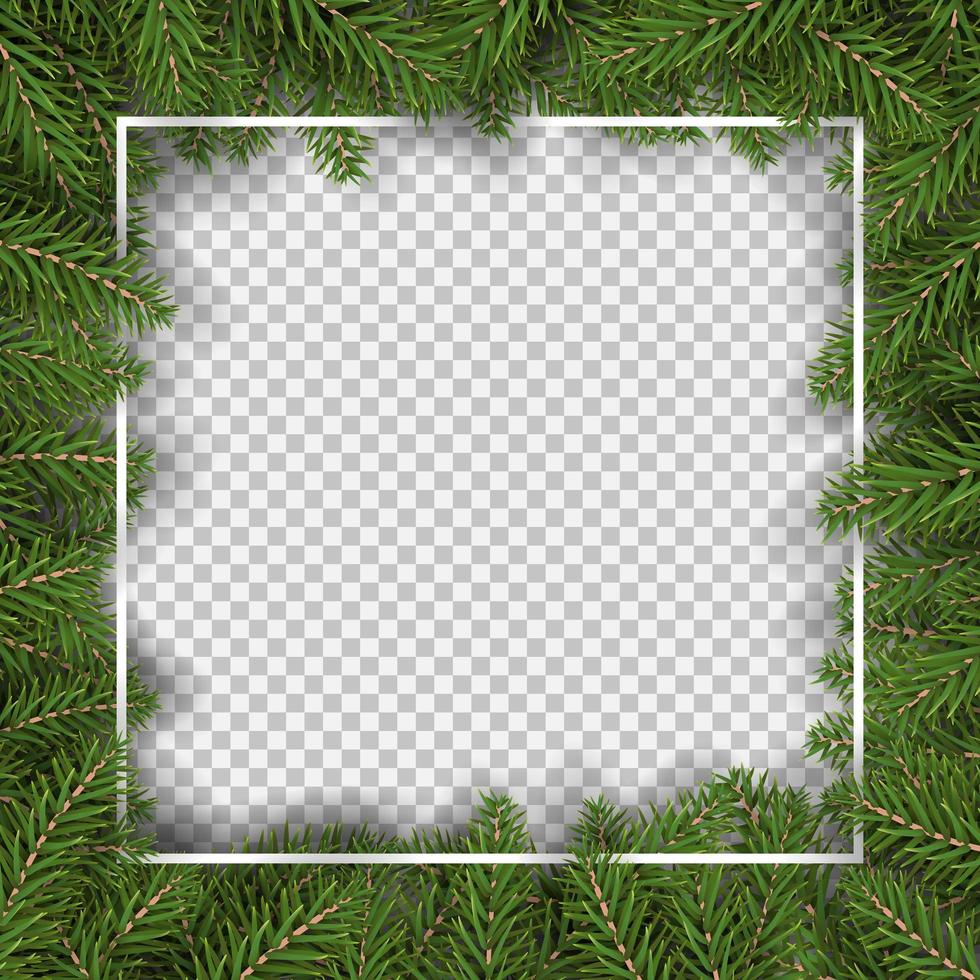 árvore de natal com borda quadrada vetor