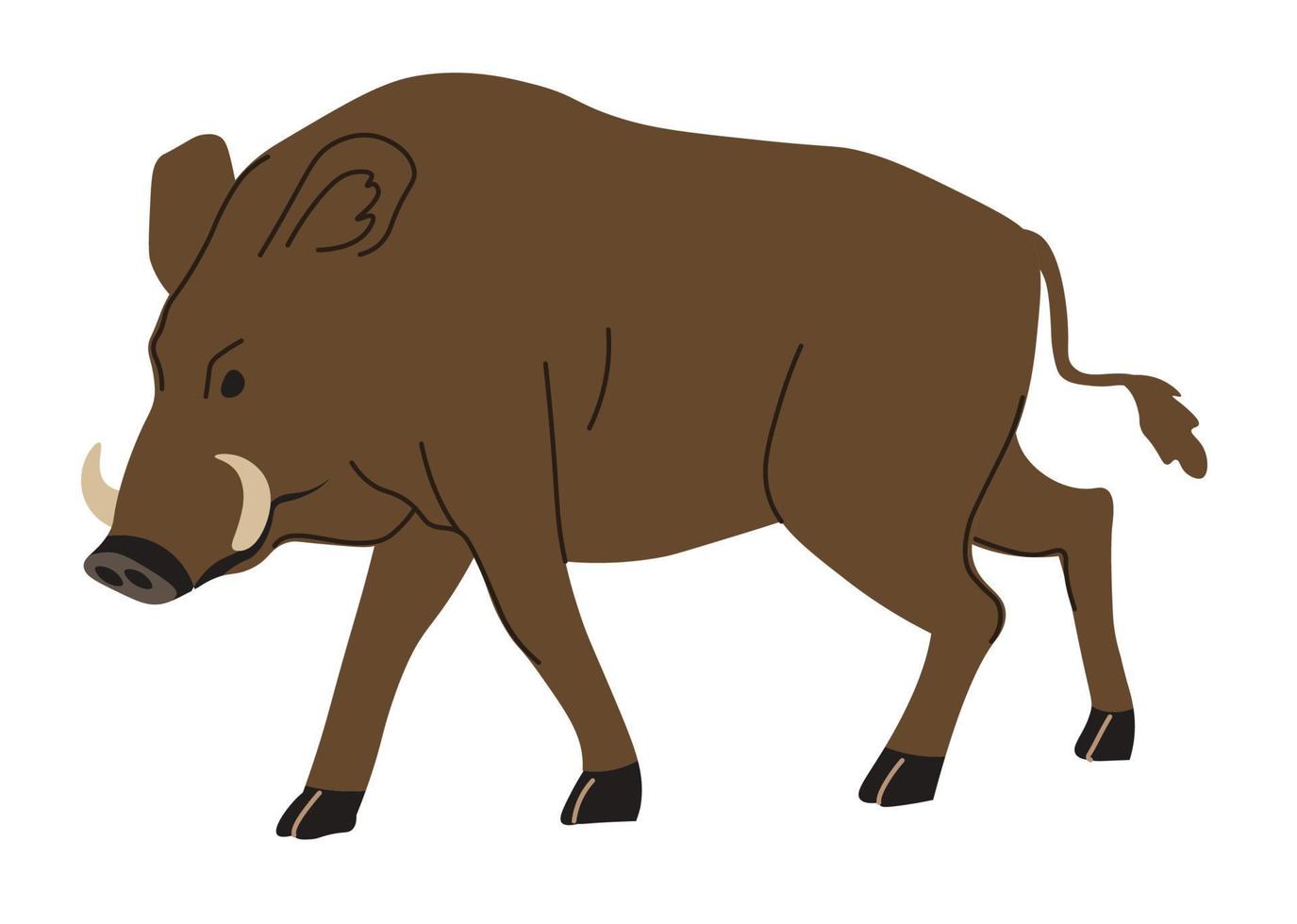 animais da floresta, retrato de porco selvagem com presas de javali vetor