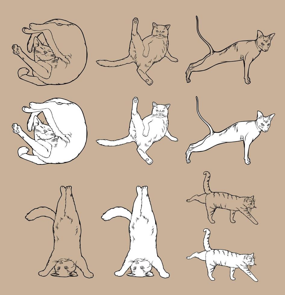 desenho animado desenho em quadrinhos vetor sem costura padrão e fundo de gatos zen meditando em pose de ioga e asana, namaste
