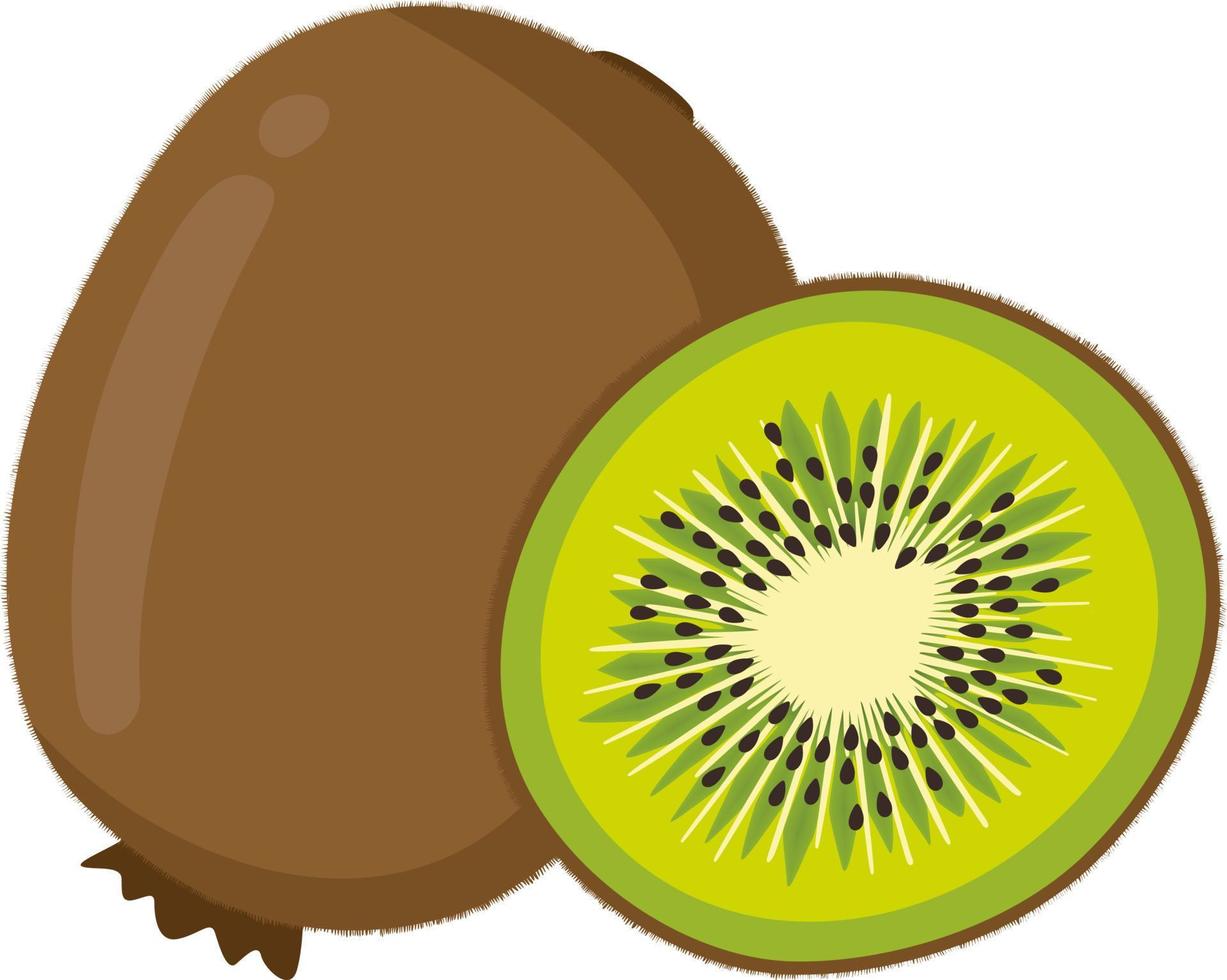 kiwi fresco inteiro e fatia vetor