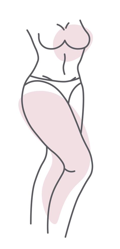 corpo de mulher, pernas e barriga, esboços de peito vetor