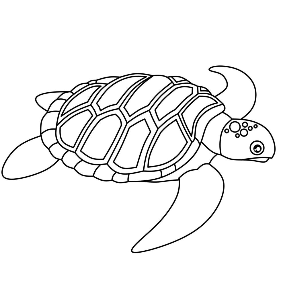 imagem vetorial de tartaruga para livro de colorir vetor