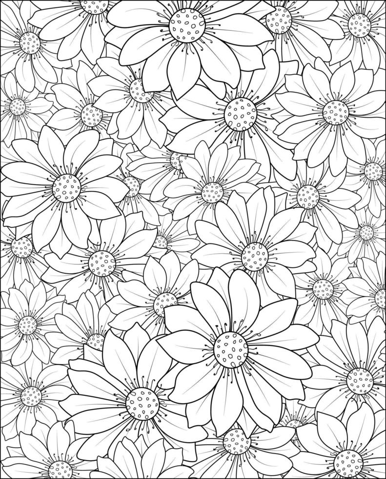 bela ilustração de padrão de flor margarida botânica para colorir livro ou página, arte de desenho de flor frangipani, buquê desenhado à mão de floral isolado no fundo branco vetor