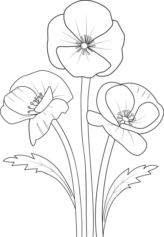 página de livro de colorir de vetor de contorno preto e branco para adultos e crianças flores papoula com folhas brotos flores desenhadas à mão, isoladas no livro de cores de design de ilustração de tinta de fundo branco.