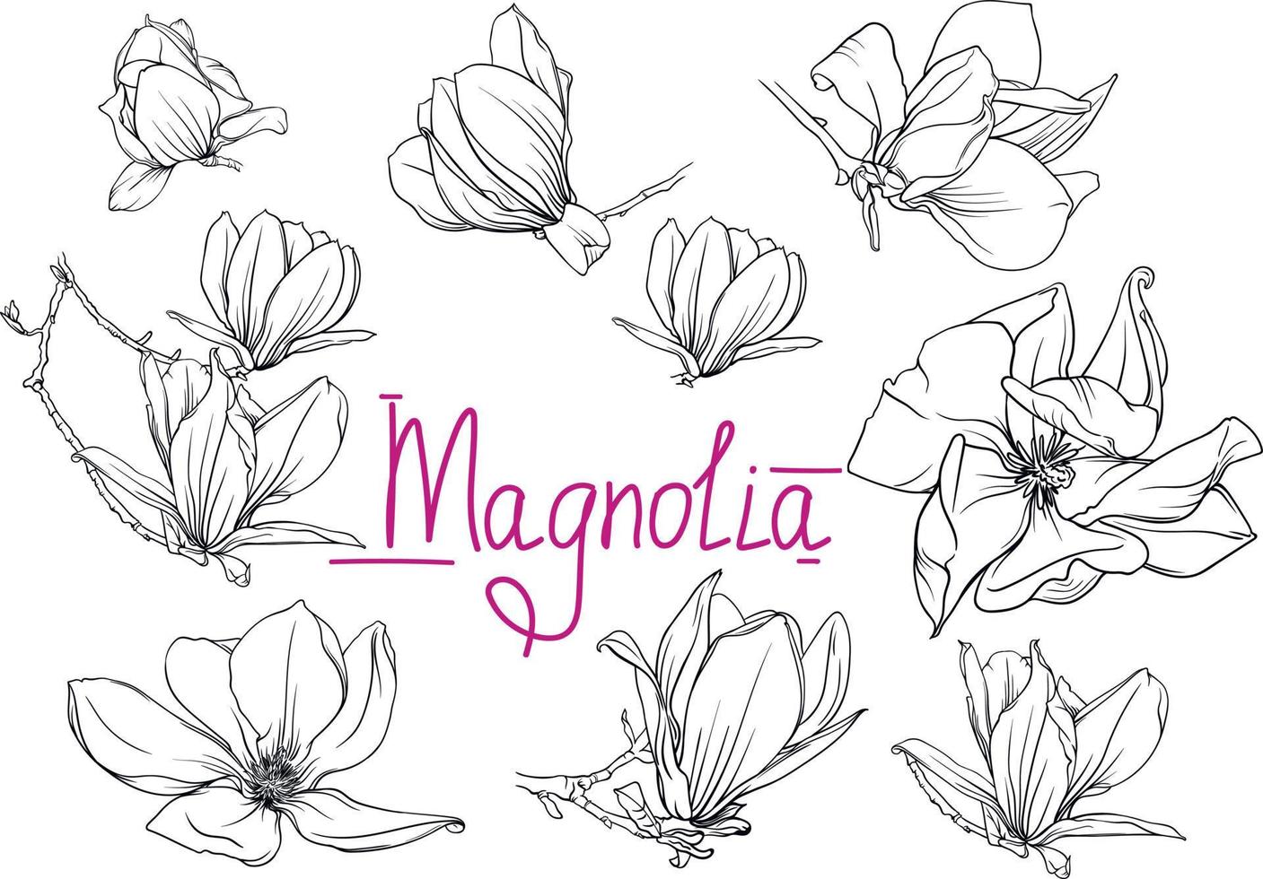 flores e ramos monocromáticos de magnólia desenhados à mão. contorno de magnólia, ilustração em vetor preto e branco de flores e ramos de magnólia
