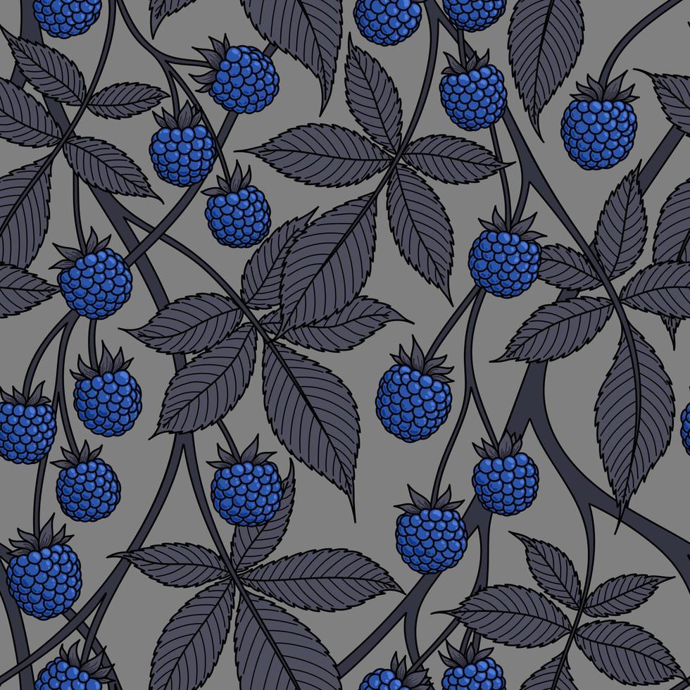 fundo vector cinza sem costura com frutas de amora azul