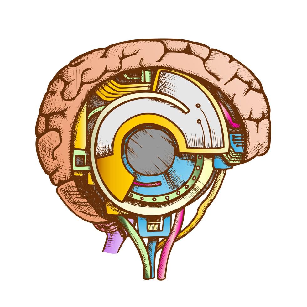 vetor de cores de visão lateral do cérebro cibernético de tecnologia