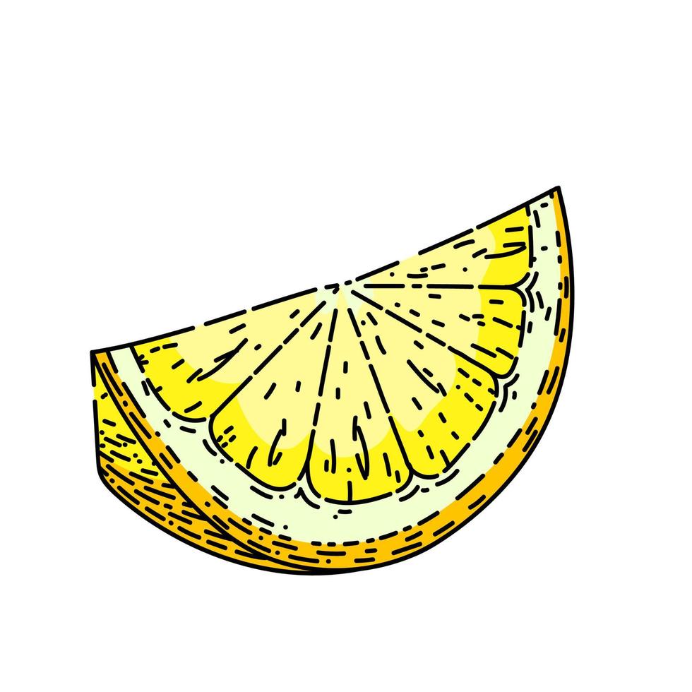 fatia de esboço de limão vetor desenhado à mão