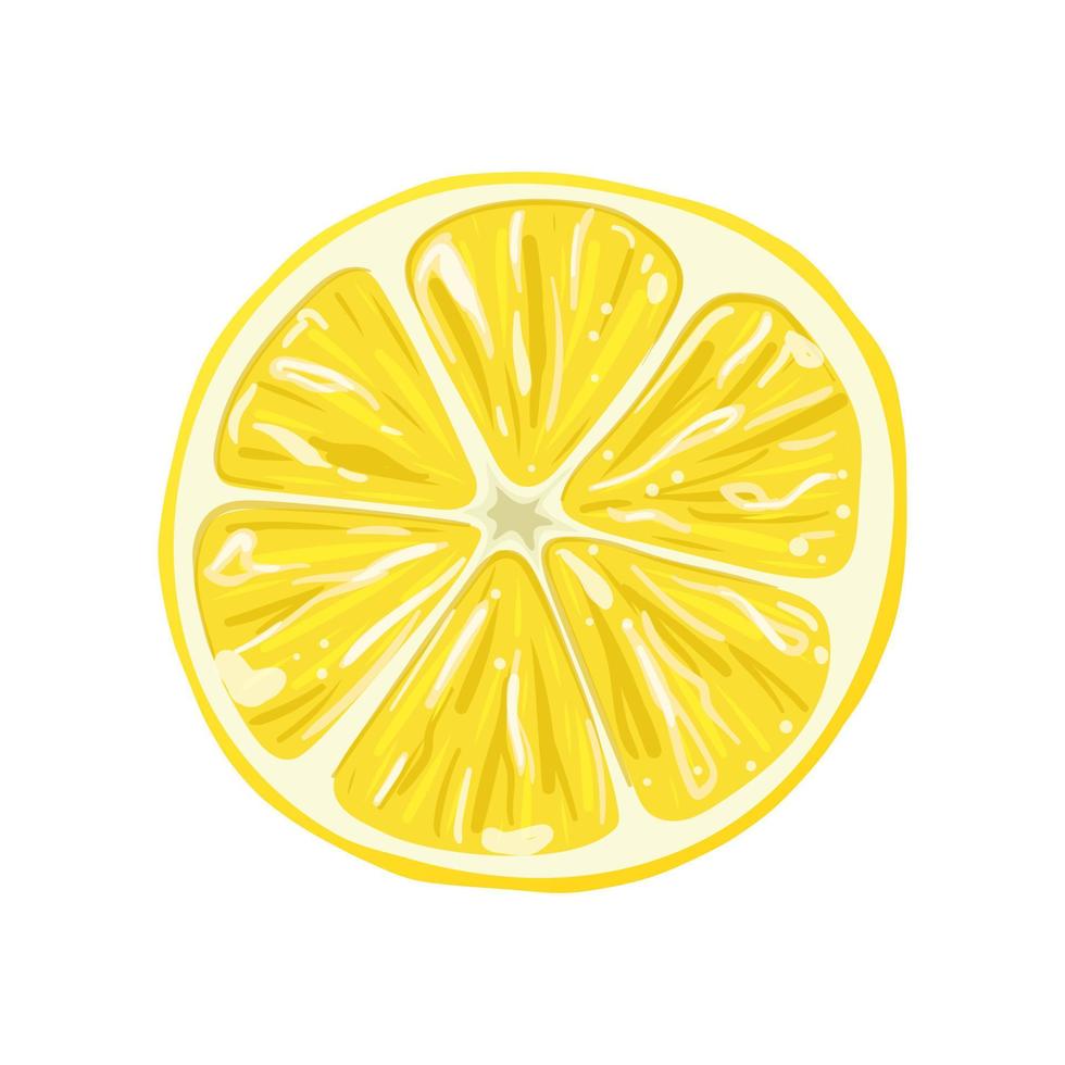 ilustração em vetor de desenho animado de fatia madura de limão