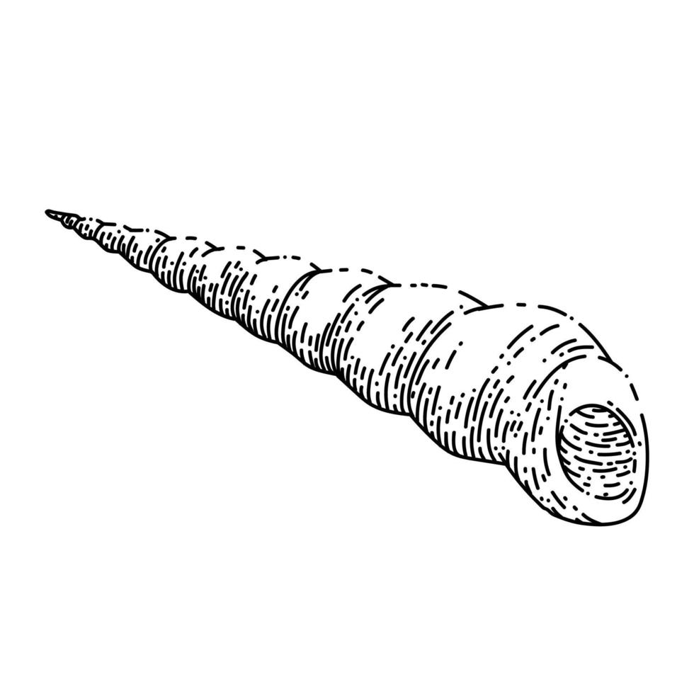 vetor desenhado à mão de desenho de mar de concha