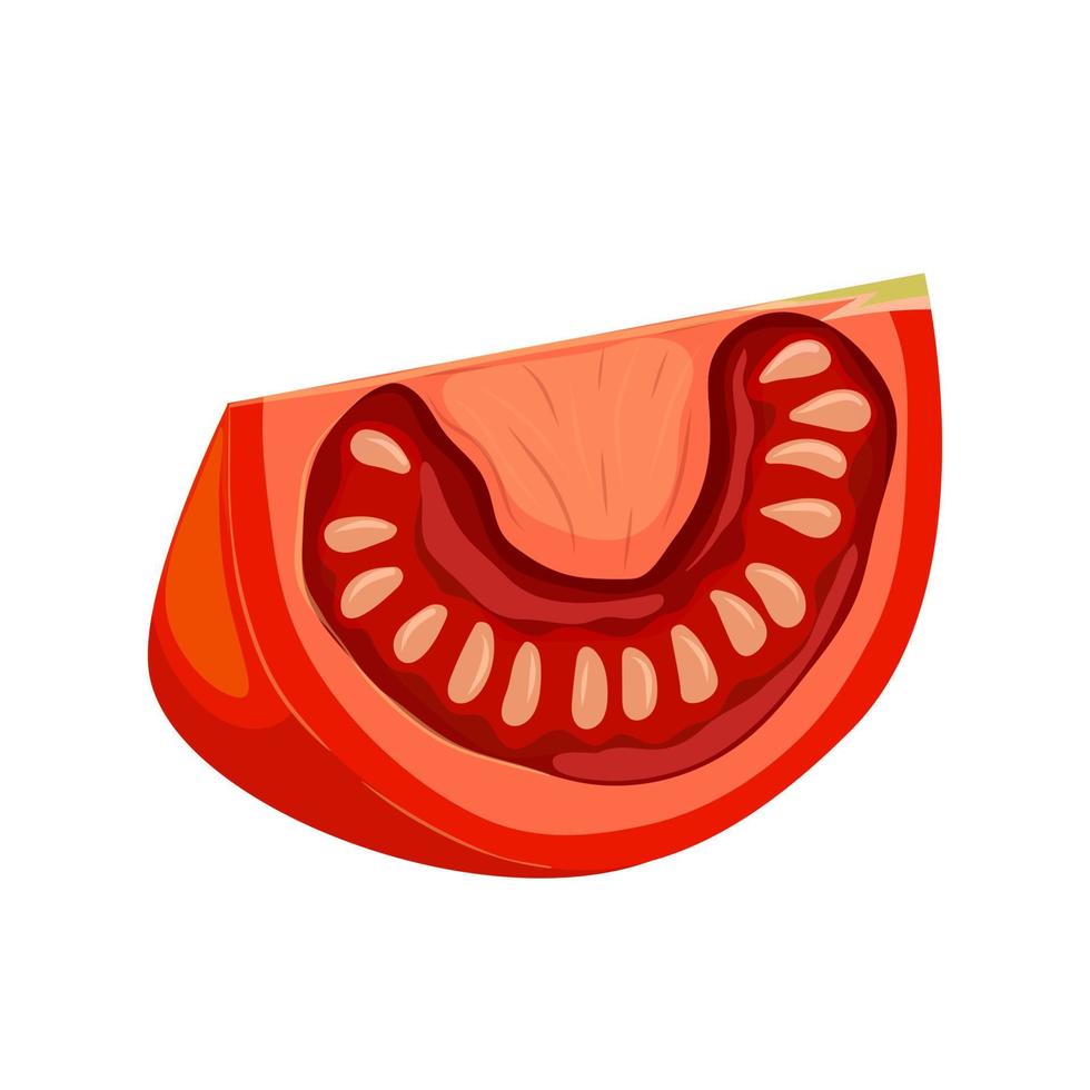 ilustração em vetor de desenho animado de fatia de tomate