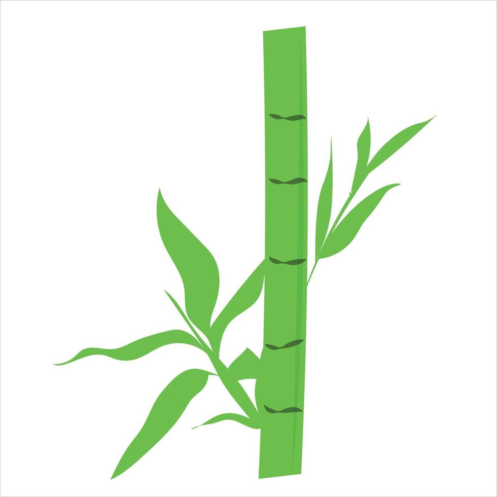 design de ilustração de bambu. vetor