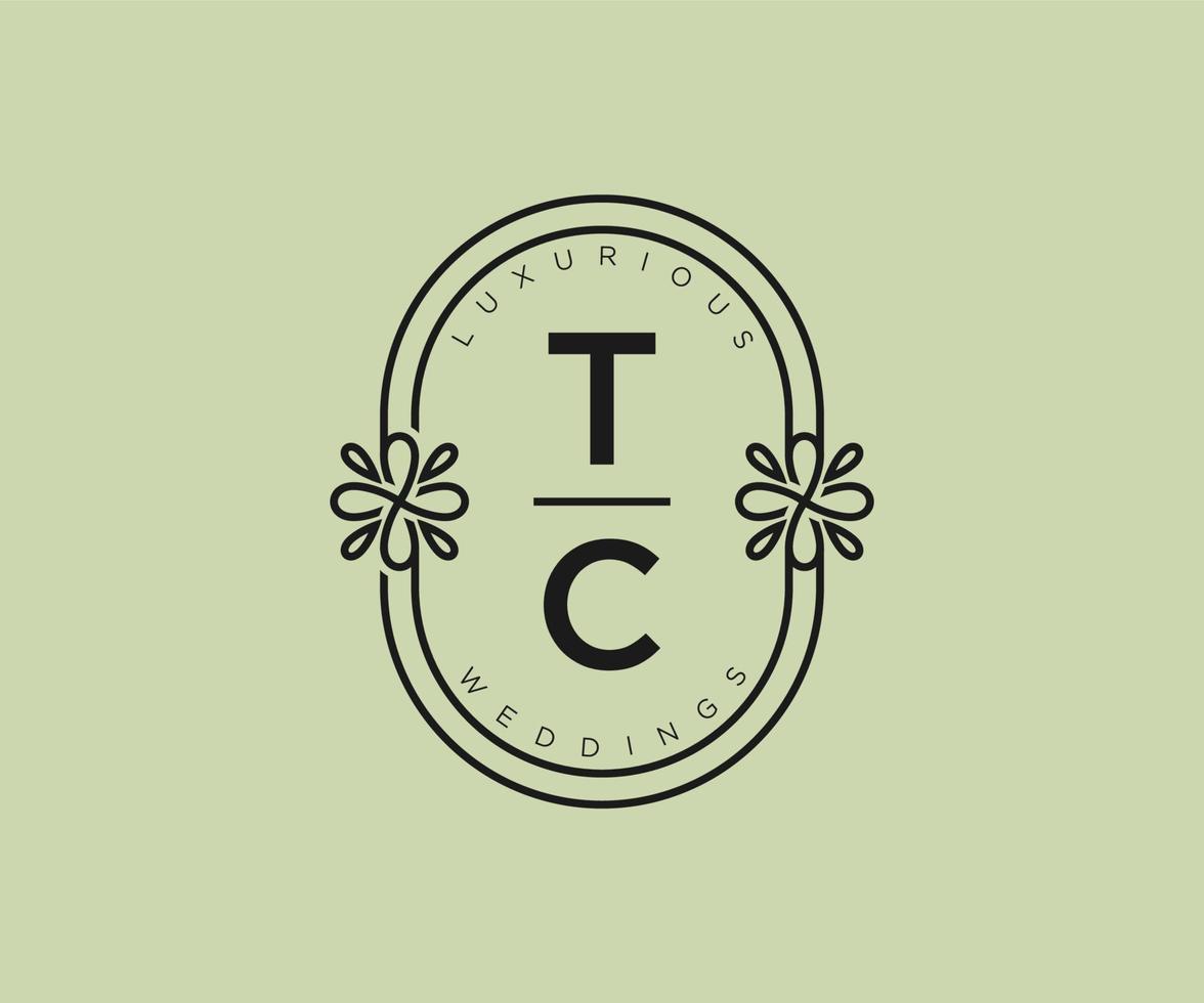 tc letras iniciais modelo de logotipos de monograma de casamento, modelos modernos minimalistas e florais desenhados à mão para cartões de convite, salve a data, identidade elegante. vetor