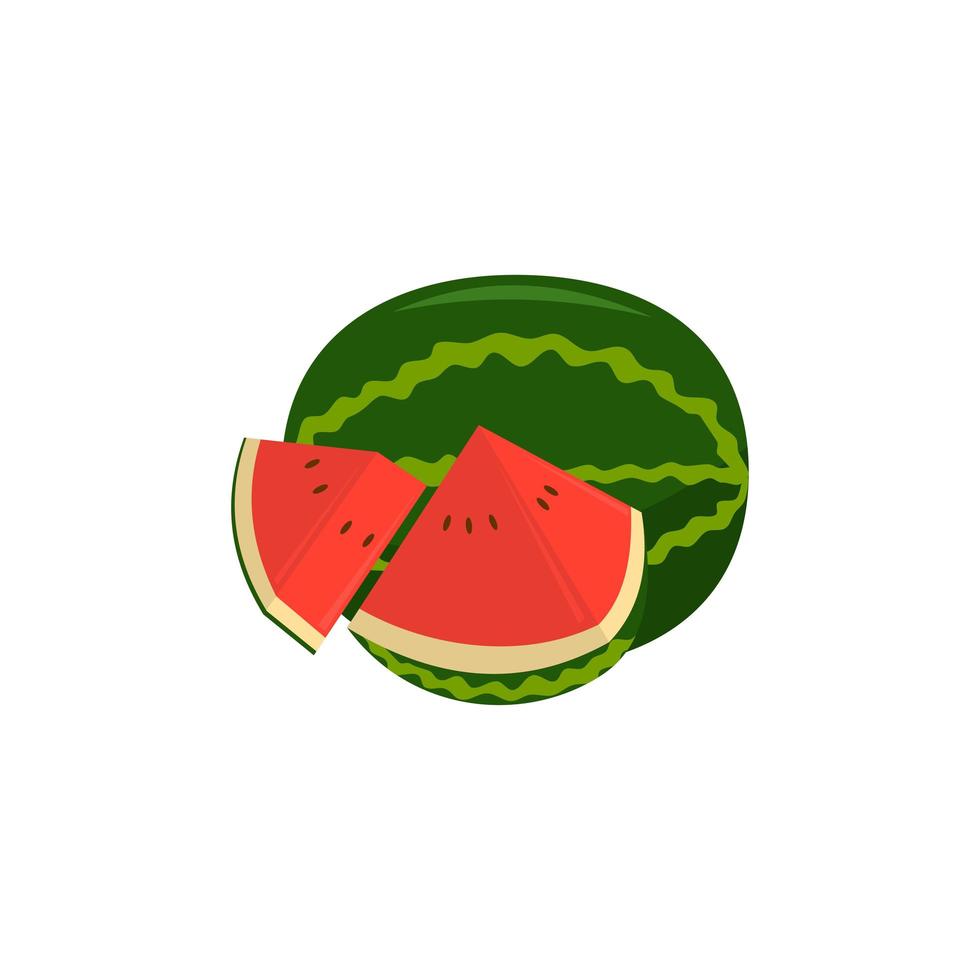 ilustração de frutas e pedaços de melancia vetor