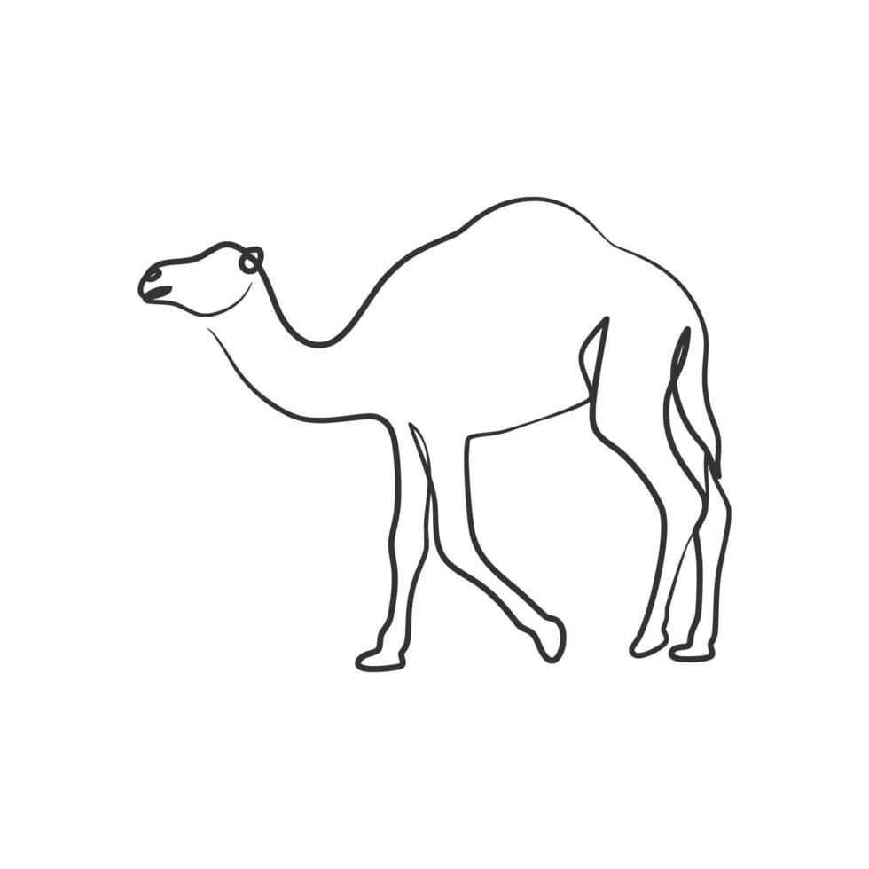 desenho de arte de uma linha contínua de camelo vetor