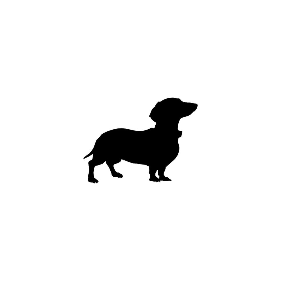 ícone de bassê. símbolo de fundo de pôster de grande venda de loja de animais de estimação de estilo simples. elemento de design do logotipo da marca bassê. impressão de t-shirt dachshund. vetor para adesivo.