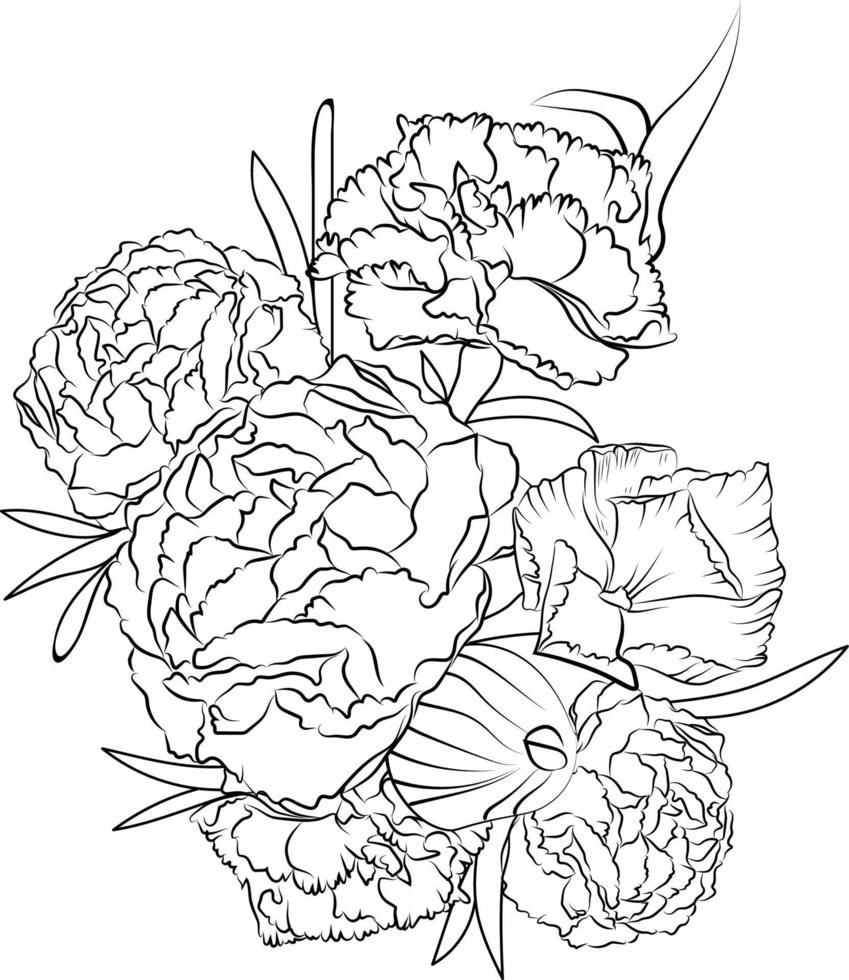 arte de lápis de flor de cravo, página de coloração de vetor de contorno preto e branco e livro para adultos e crianças flores rosa-cravo, com folhas desenhadas à mão gravada ilustração de tinta gravada design artístico.