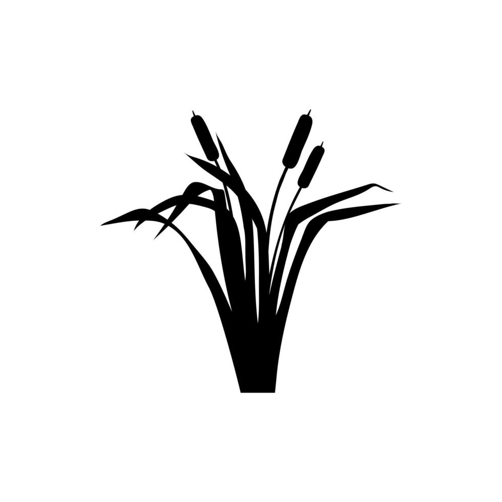 vetor de ícone de taboa. sinal de ilustração de juncos. símbolo do pântano. logotipo da grama.
